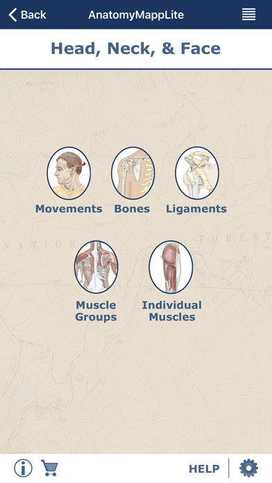 AnatomyMapp Lite Screenshot