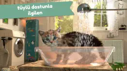 minik kedicik - maceralar 4+ iphone resimleri 2