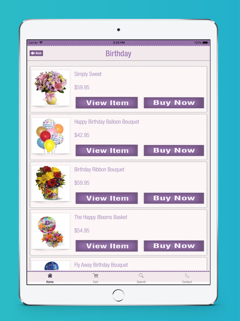 iPad screenshot