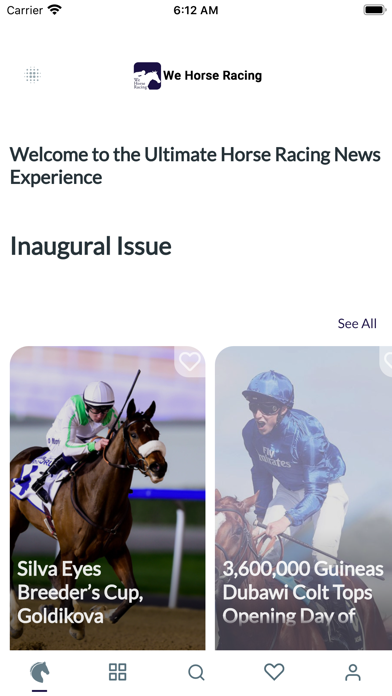 We Horse Racing Screenshot