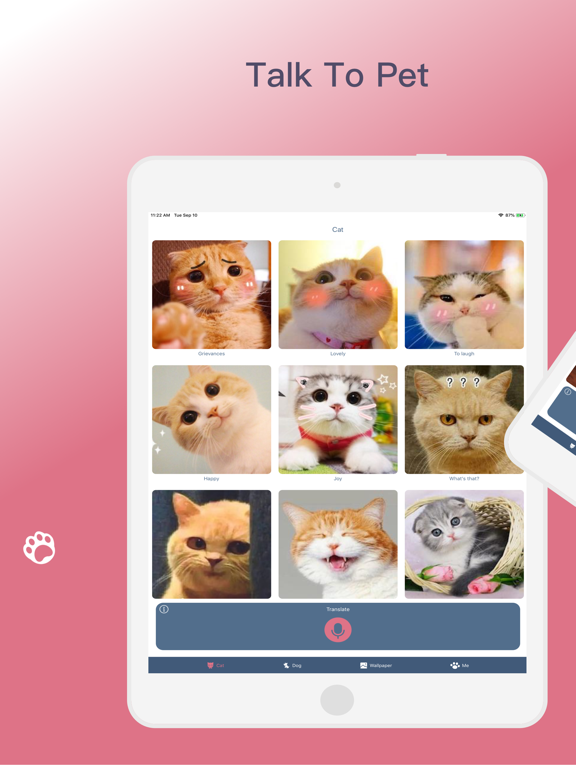 Talk To Pet - Cat sounds