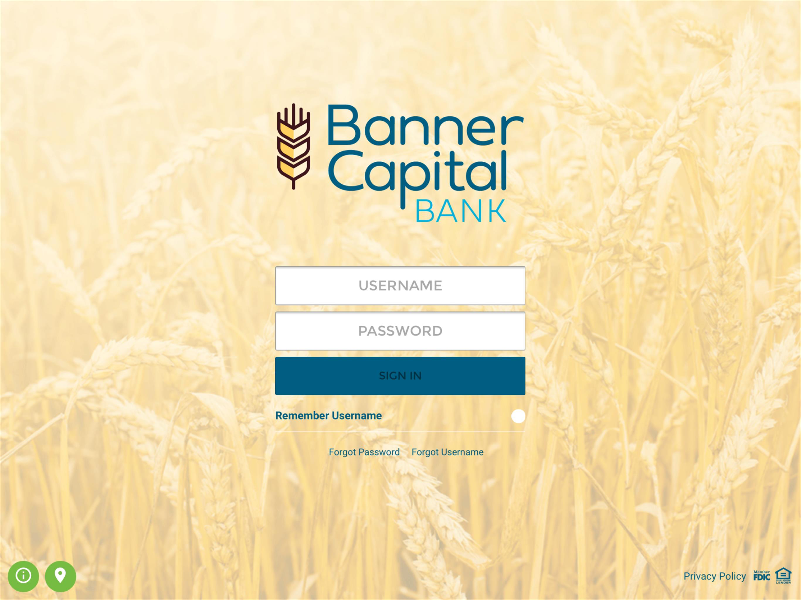 Banner Capital Bank