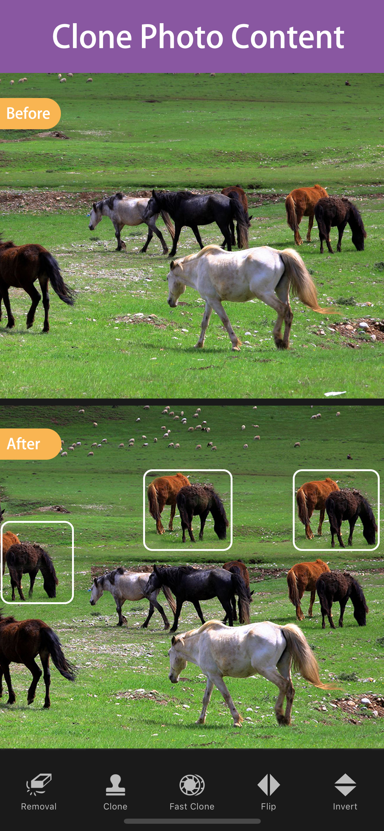 RetouchPhoto - Object Removal