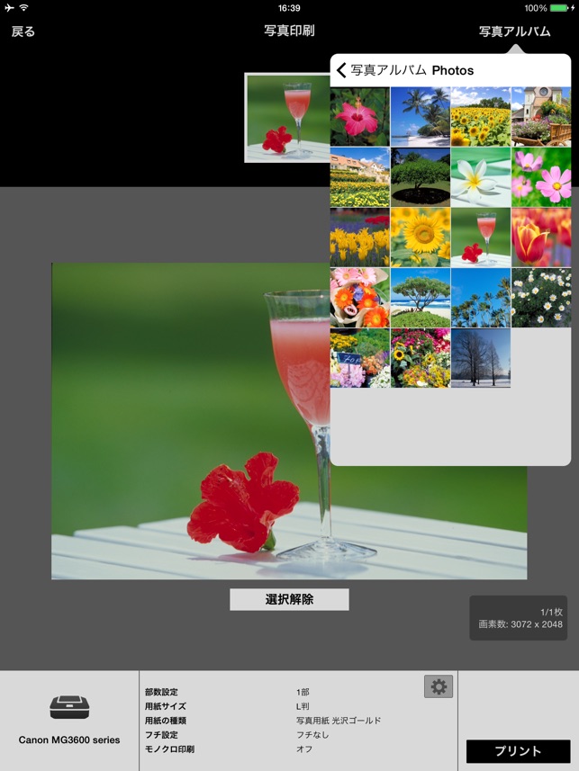 Canon PRINT Inkjet/SELPHY Screenshot