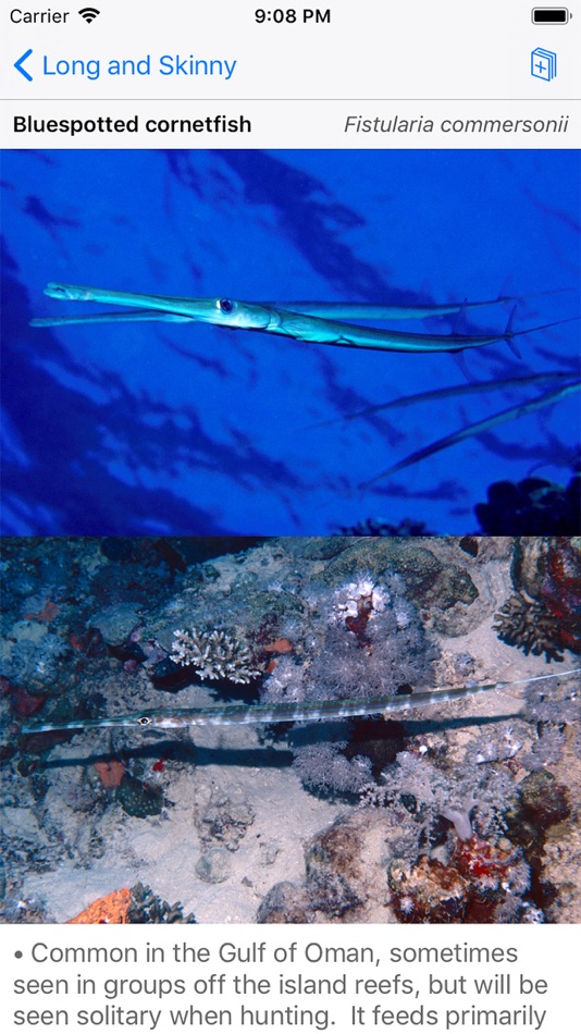 #7. Oman Fish ID (iOS) 由: John P. Hoover
