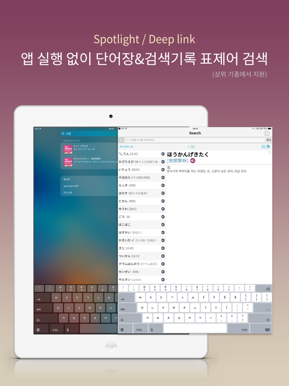엣센스 일한일 사전 - JpKoJp DIC iPad screenshot