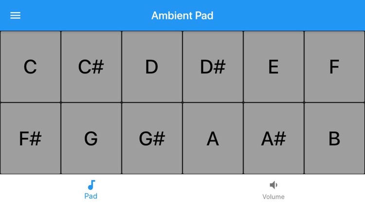 Ambient Pad