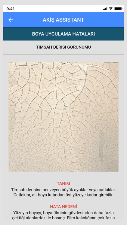 AKİŞ Assistant screenshot-3