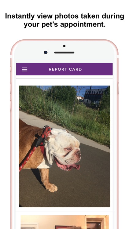 Dabbin Dawgs screenshot-4