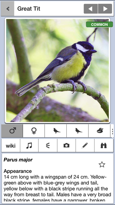 Birds of Britain Liteのおすすめ画像1