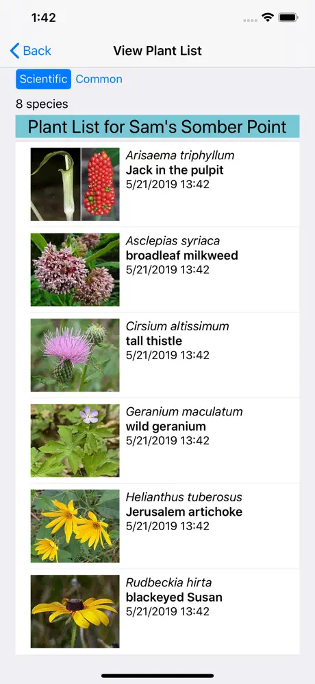 Delaware Wildflowers