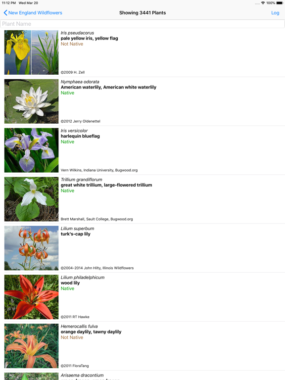 Screenshot #5 pour New England Wildflowers