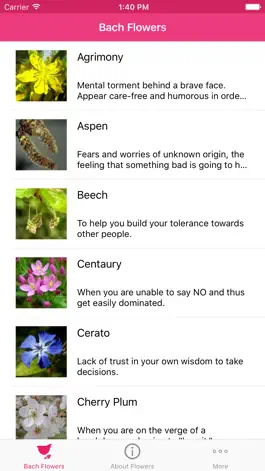 Game screenshot Bach Flowers Remedies apk