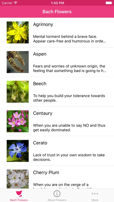 Bach Flowers Remedies screenshot 2 of 5