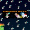 Adventures of SpaceCat