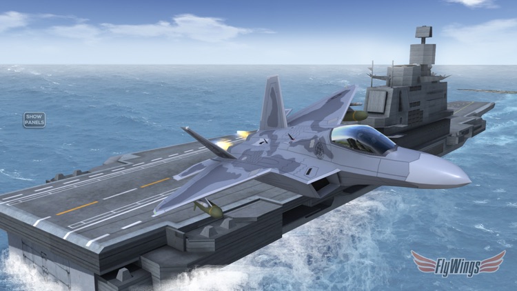 Flight Simulator FlyWings 2014