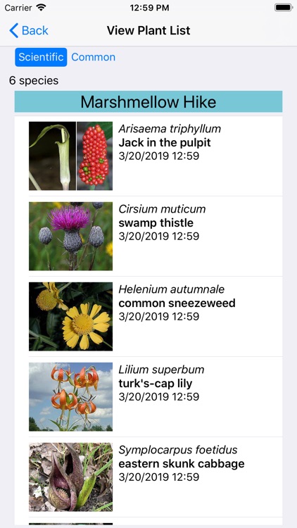 Ohio Wildflowers screenshot-7