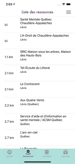 Game screenshot DRSM Santé Mentale hack