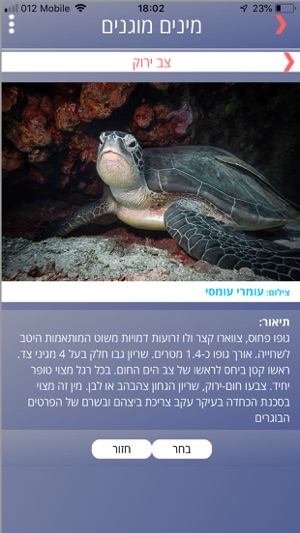 Sea Watch(圖3)-速報App