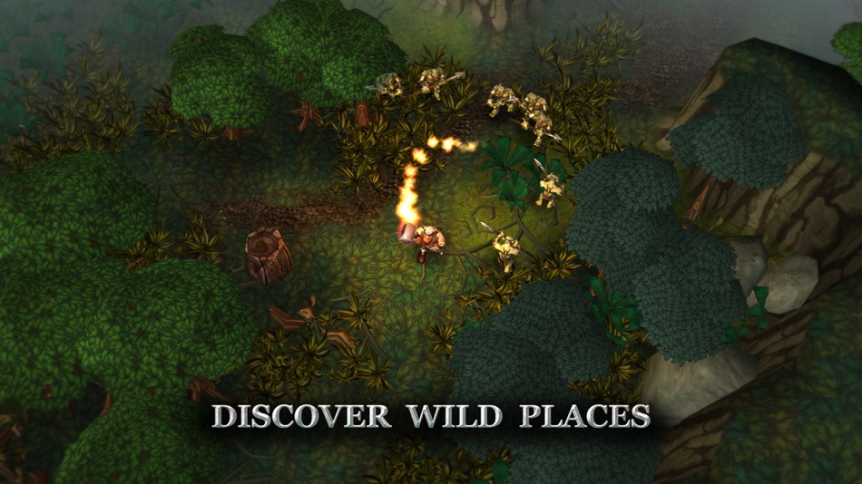 #2. Runic Rampage (iOS) Bởi: Crescent Moon Games