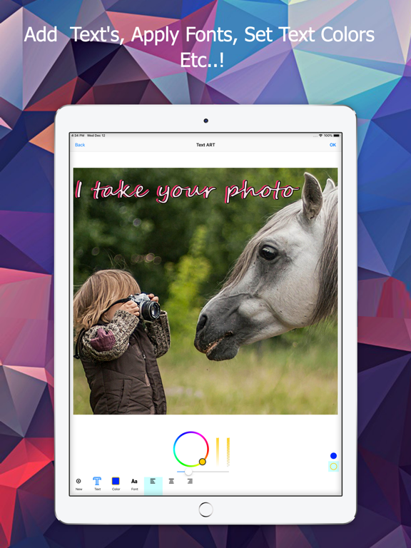 DrawText - Art,Text & Drawing iPad screenshot 5 - Photo & Video app