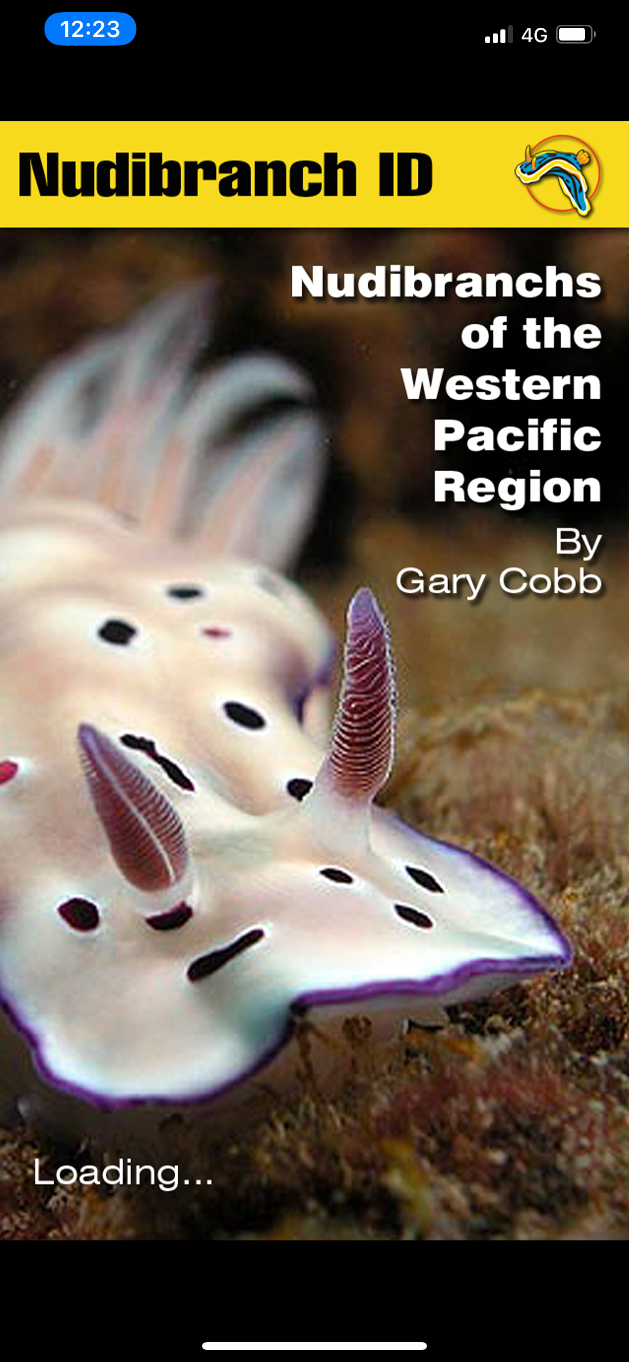 Nudibranch ID West Pacific