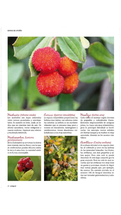 Integral screenshot-4