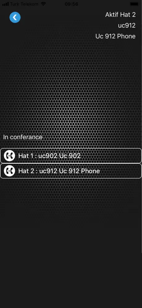 Merlin Phone