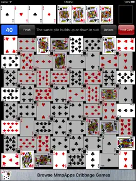 Game screenshot Crazy Quilt Solitaire Classic apk