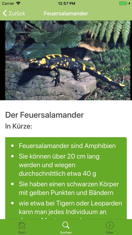 WaldApp! screenshot-3