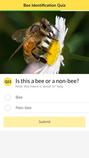 WiBee screenshot 3
