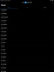 Quran - Ramadan 2020 Muslim ipad bilder 3
