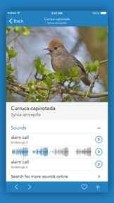 Captura de pantalla