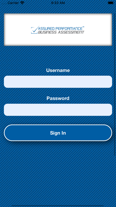 Business Assessment Screenshot