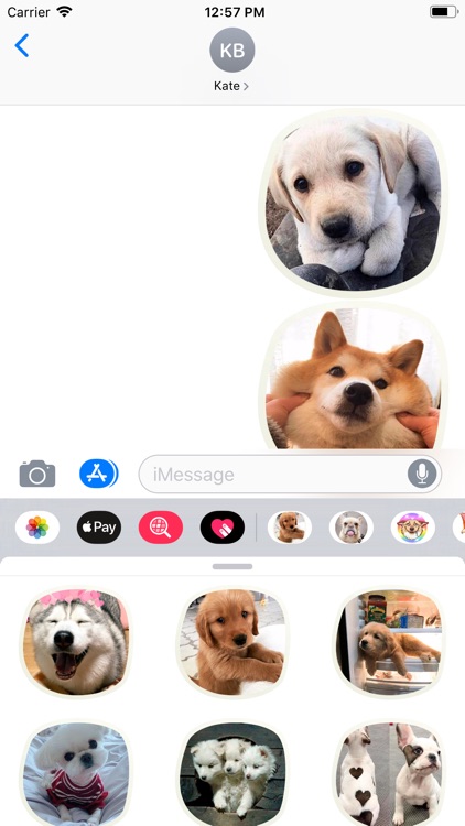 Cute Puppies Sticker Pack screenshot-3