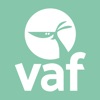 VAF 2019