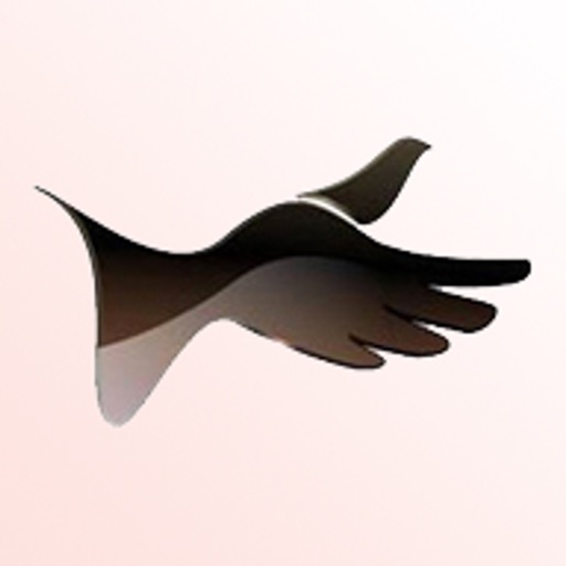 Makam-Trans Communications