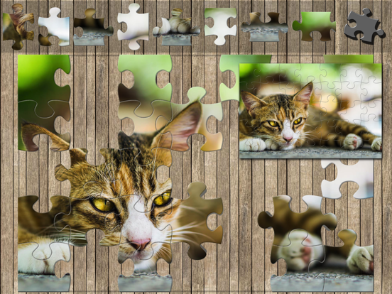 Screenshot #6 pour Jigsaw Genius