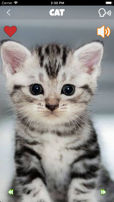 Screenshot #2 pour Sons D'Animaux Jeu