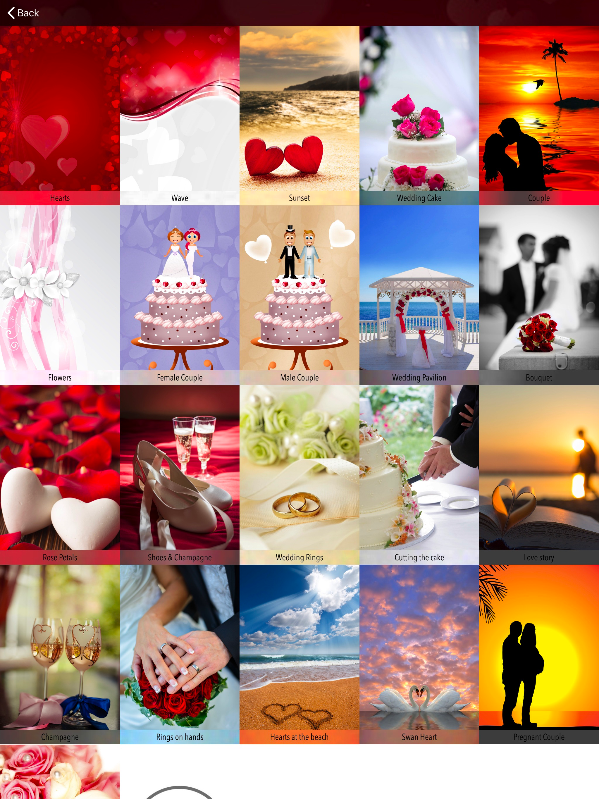Wedding Countdown Planner