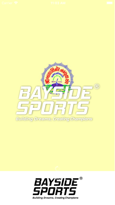 Balasinor Cricket Screenshot