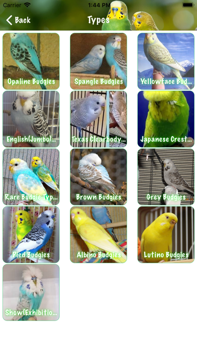 Budgie Book screenshot 4