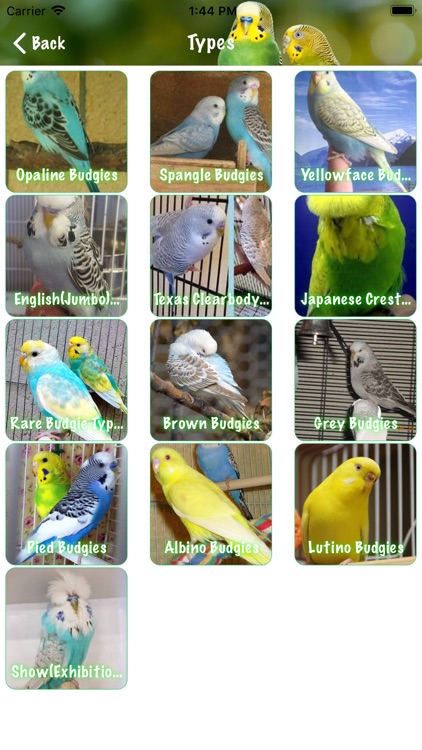 Budgie Book screenshot-3