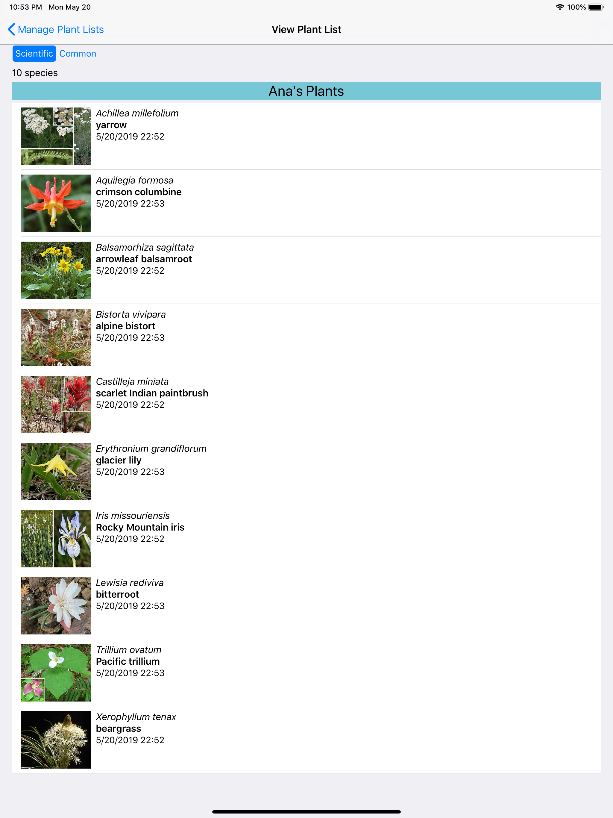 Alberta Wildflowers screenshot 16
