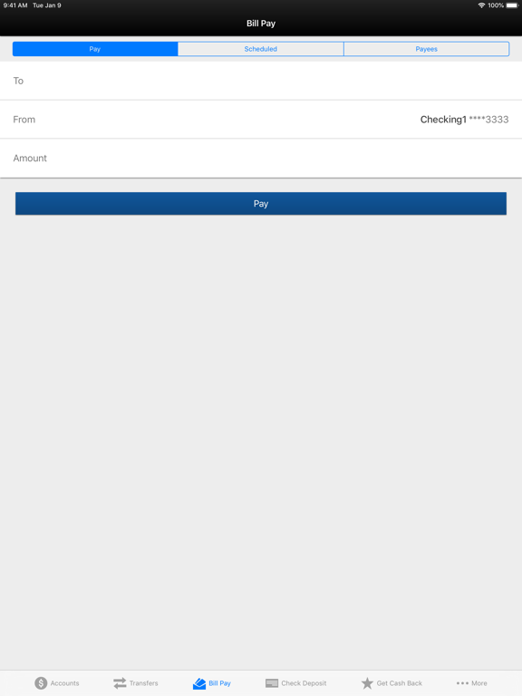 Northeast Family FCU iPad screenshot 5 - Finance app