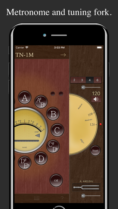 Screenshot #2 pour Chromatic Tuner TN-1M