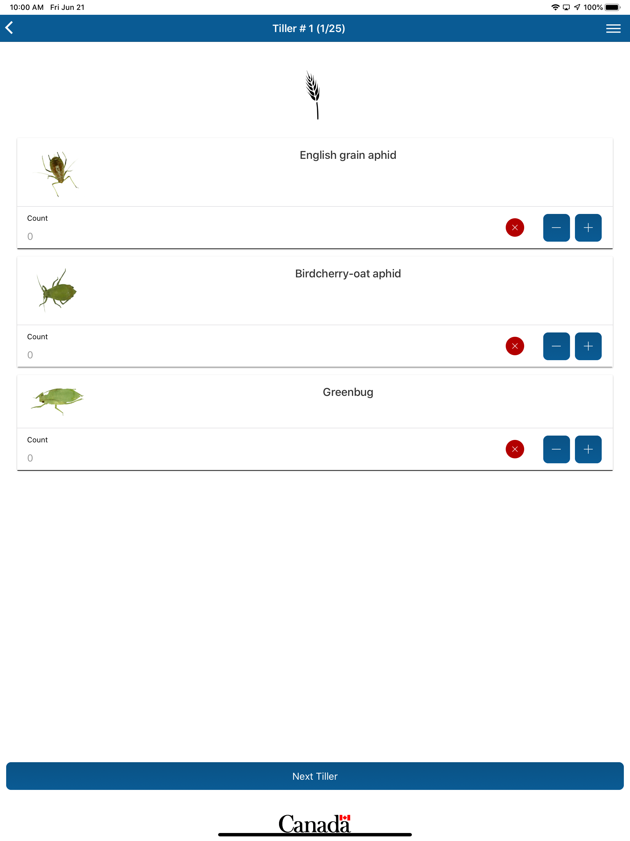 Cereal Aphid Manager