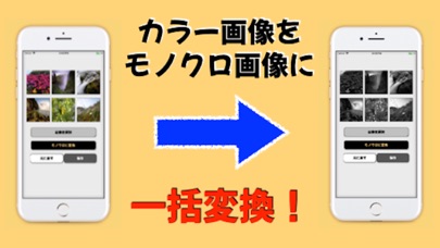 画像をモノクロに一括変換 のスクリーンショット