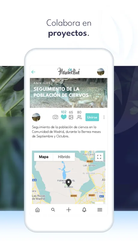 Hamelin, Red Social Naturaleza