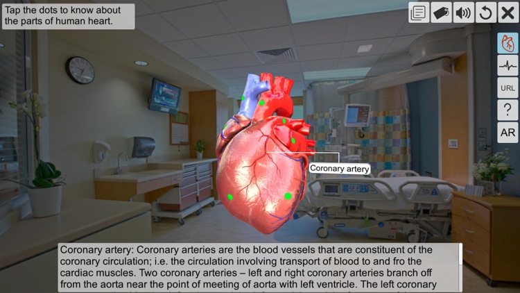 AR Human heart – A glimpse screenshot-3